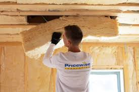 Best Basement Insulation in Horizon West, FL